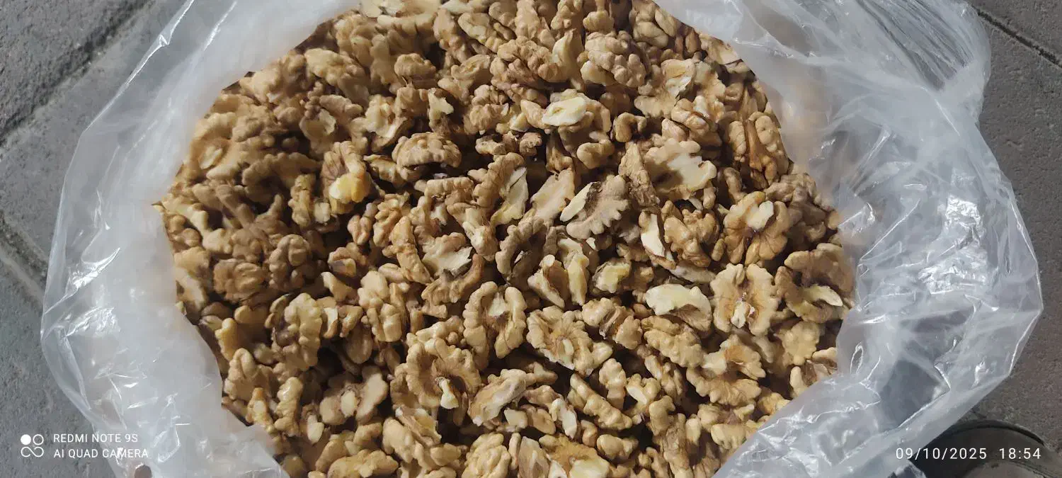 مغز گردوی روغنی الموت|خوردنی و آشامیدنی|محمدیه-قزوین, |دیوار