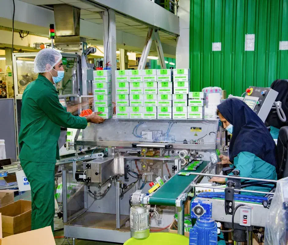 کاردرمنزل|استخدام صنعتی، فنی، مهندسی|کرمانشاه, |دیوار