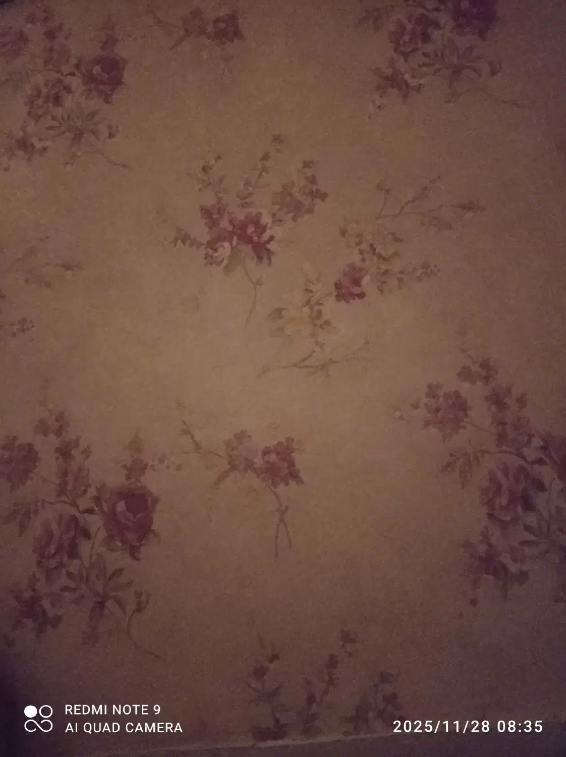 متقاضی سرویس مدارس|خدمات حمل و نقل|دوگنبدان, |دیوار