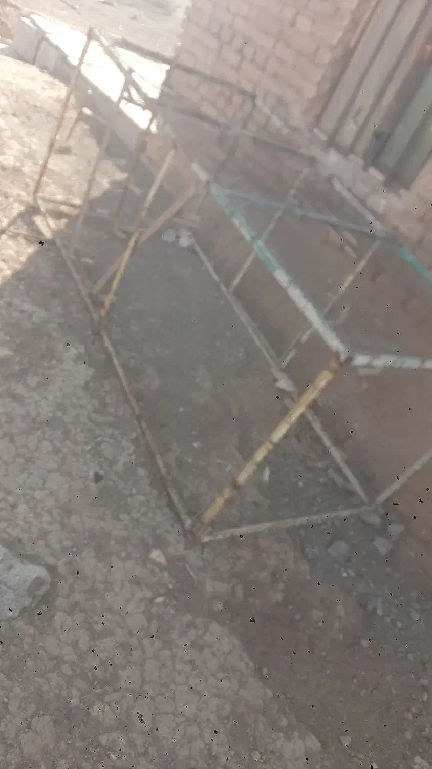 کبوتر|پرنده|سبزوار, اسلام آباد|دیوار