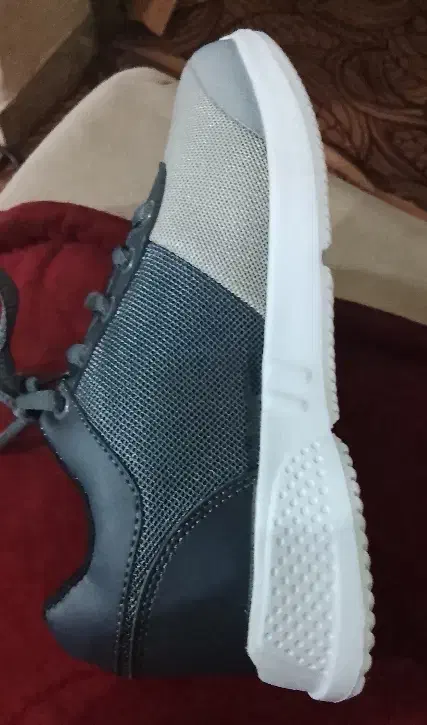 کفش نو|کیف، کفش، کمربند|دامغان, |دیوار