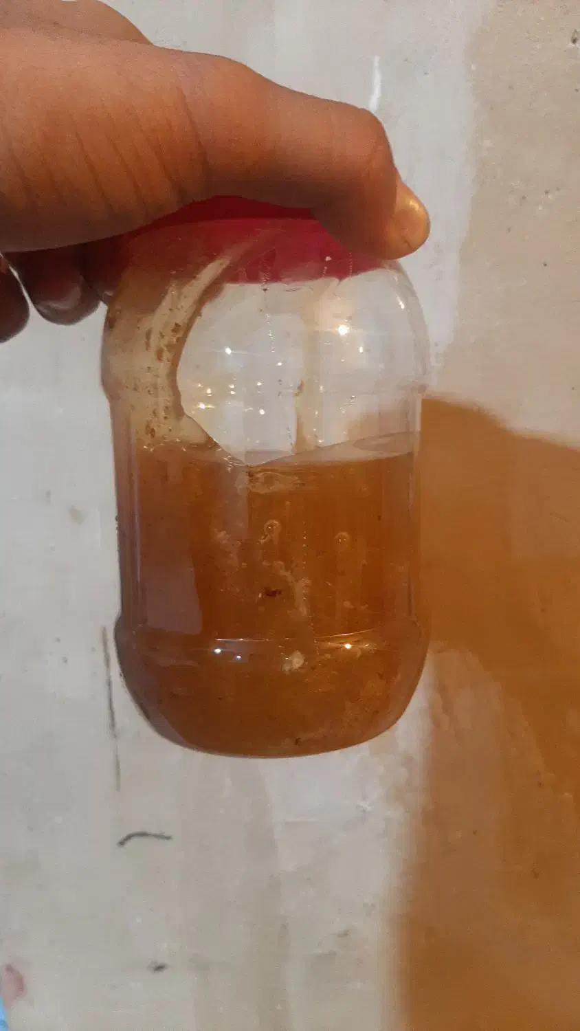 فروش عسل درجه یک کنار|خوردنی و آشامیدنی|مرودشت, رامجرد یک|دیوار