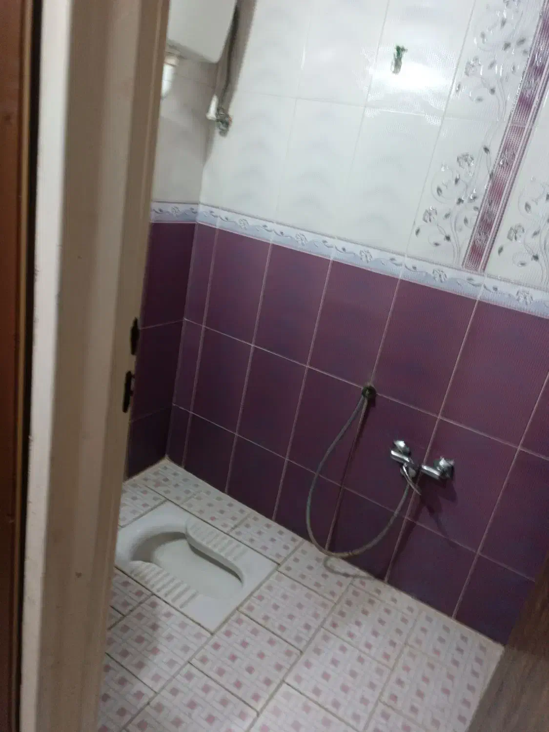 آپارتمان دوخوابه تک واحدی|اجارهٔ آپارتمان|شیراز, دشت چنار|دیوار