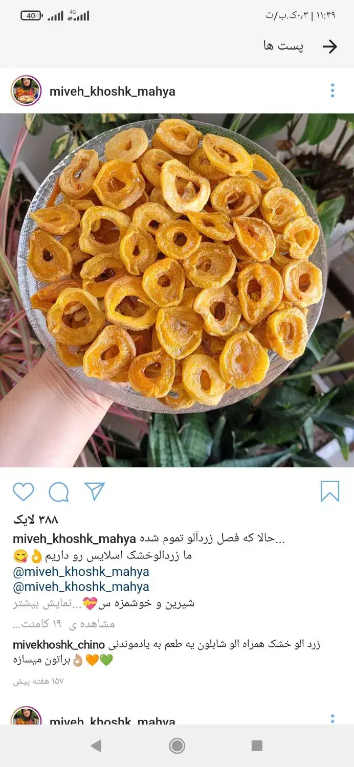 دستگاه میوه خشک کن|ماشین‌آلات صنعتی|بیرجند, |دیوار