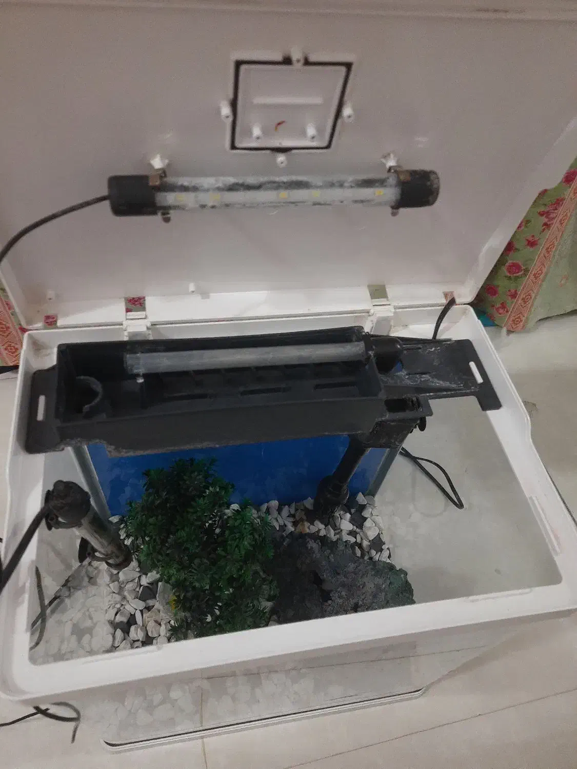 آکواریوم سالم|ماهیگیری|فردیس, شهرک وحدت|دیوار