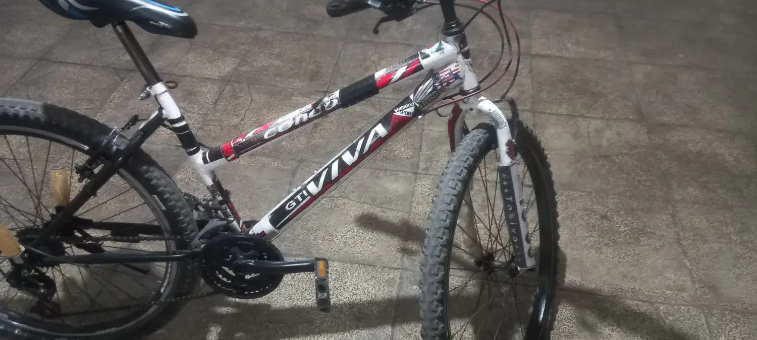 دوچرخه حرفه ای ویوا|دوچرخه، اسکیت، اسکوتر|باقرشهر, |دیوار