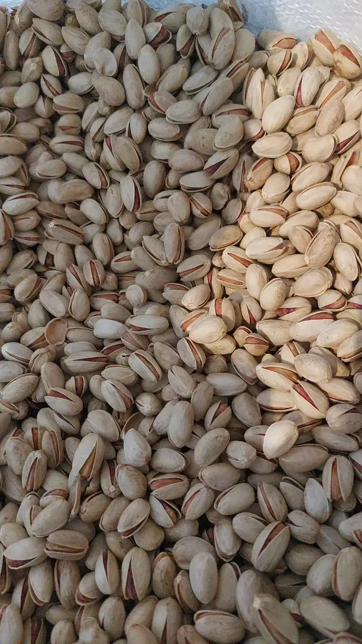 پسته ومغز|خوردنی و آشامیدنی|تربتحیدریه, باغ ملی|دیوار