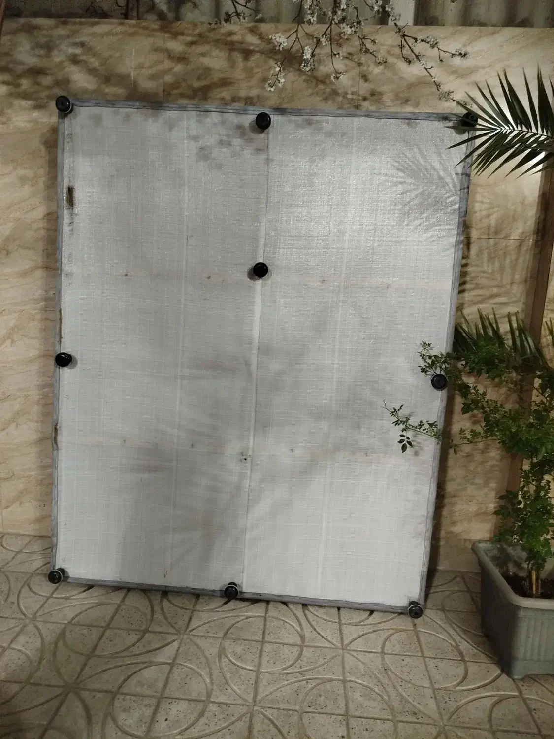 تخت|تخت و سرویس خواب|مشهد, مقدم|دیوار