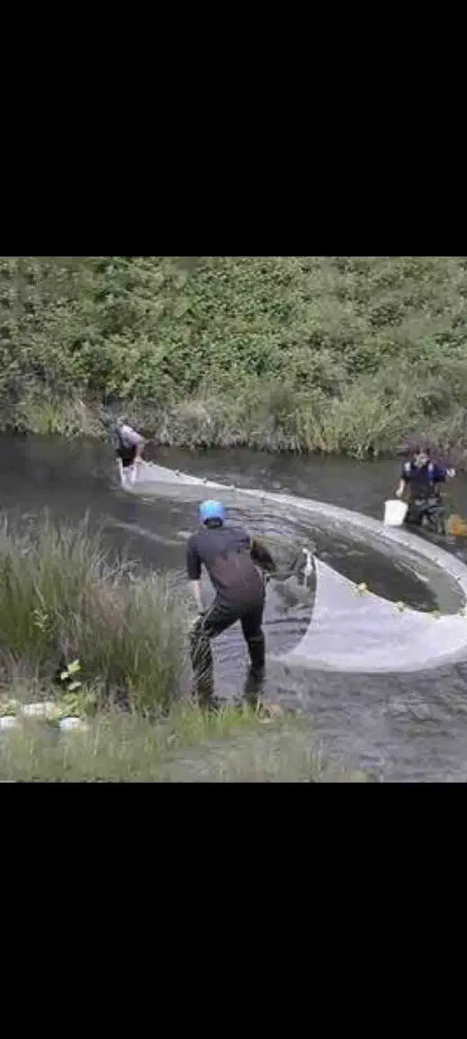 تورماهیگیری آماده ماهیگیری|ماهیگیری|بوشهر, |دیوار