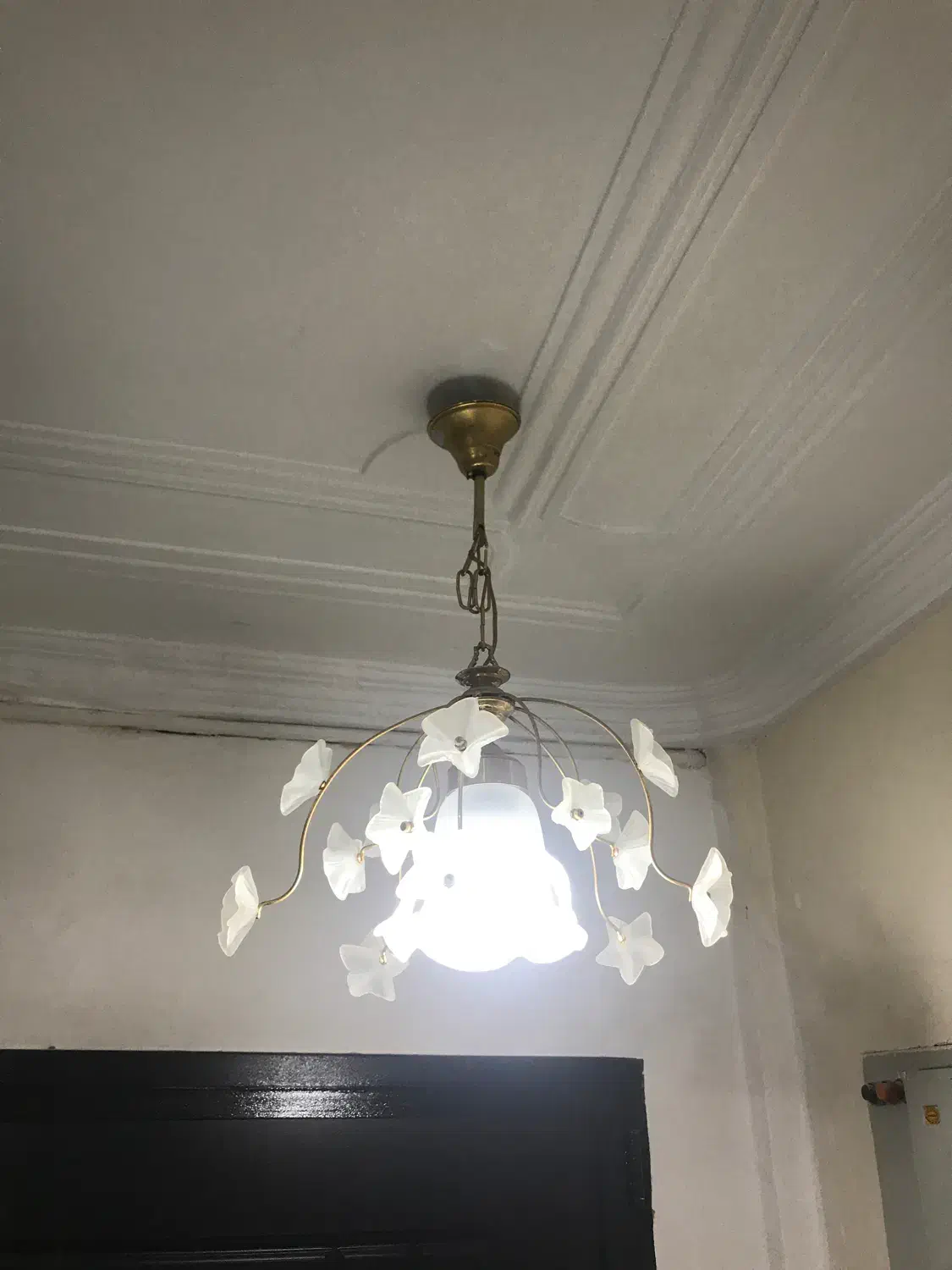 لوستر طرح گل|لوستر و چراغ آویز|اهواز, کیانپارس |دیوار