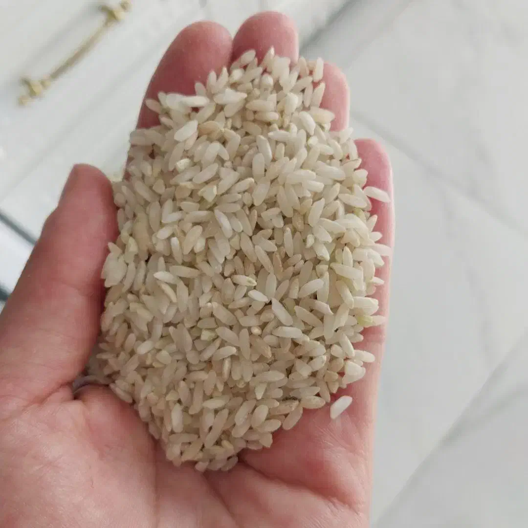 برنج چمپا دروهون|خوردنی و آشامیدنی|یاسوج, |دیوار