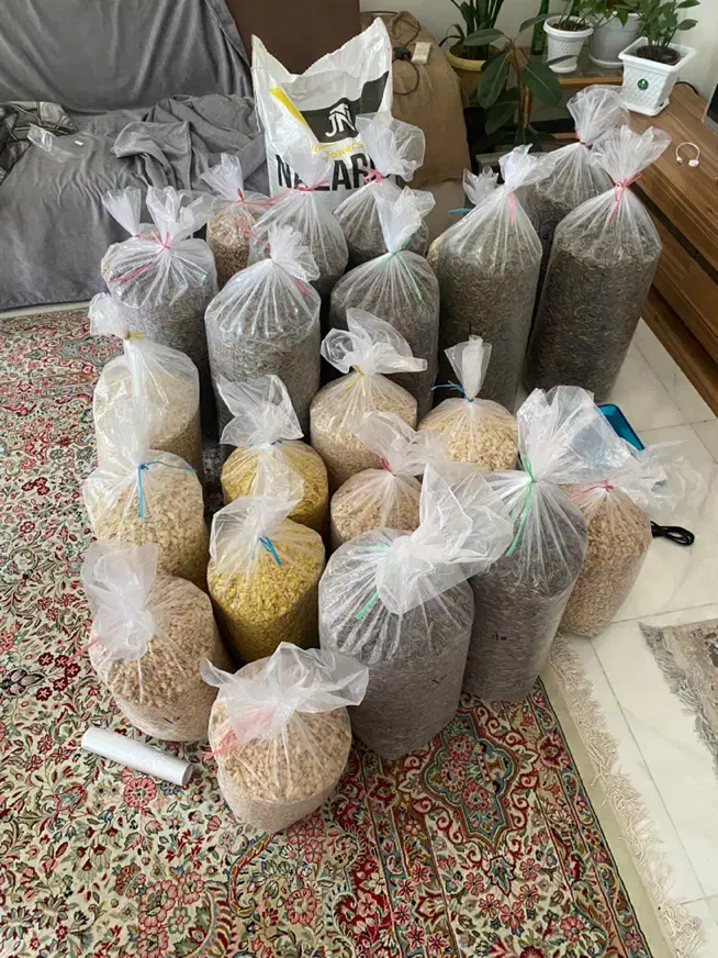 تخمه|عمدهفروشی|بم, |دیوار