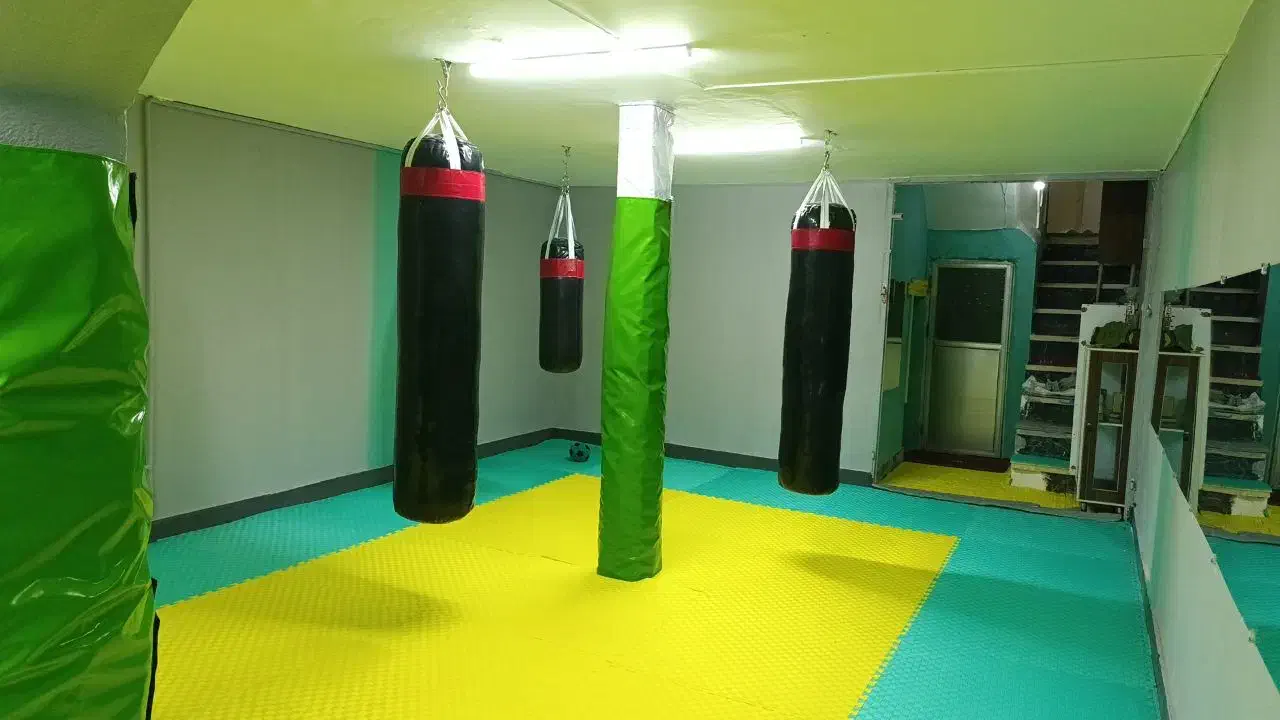 آموزش تخصصی کیوکوشین کاراته آقایان وبانوان|خدمات آموزشی|مشهد, تربیت (صدف)|دیوار