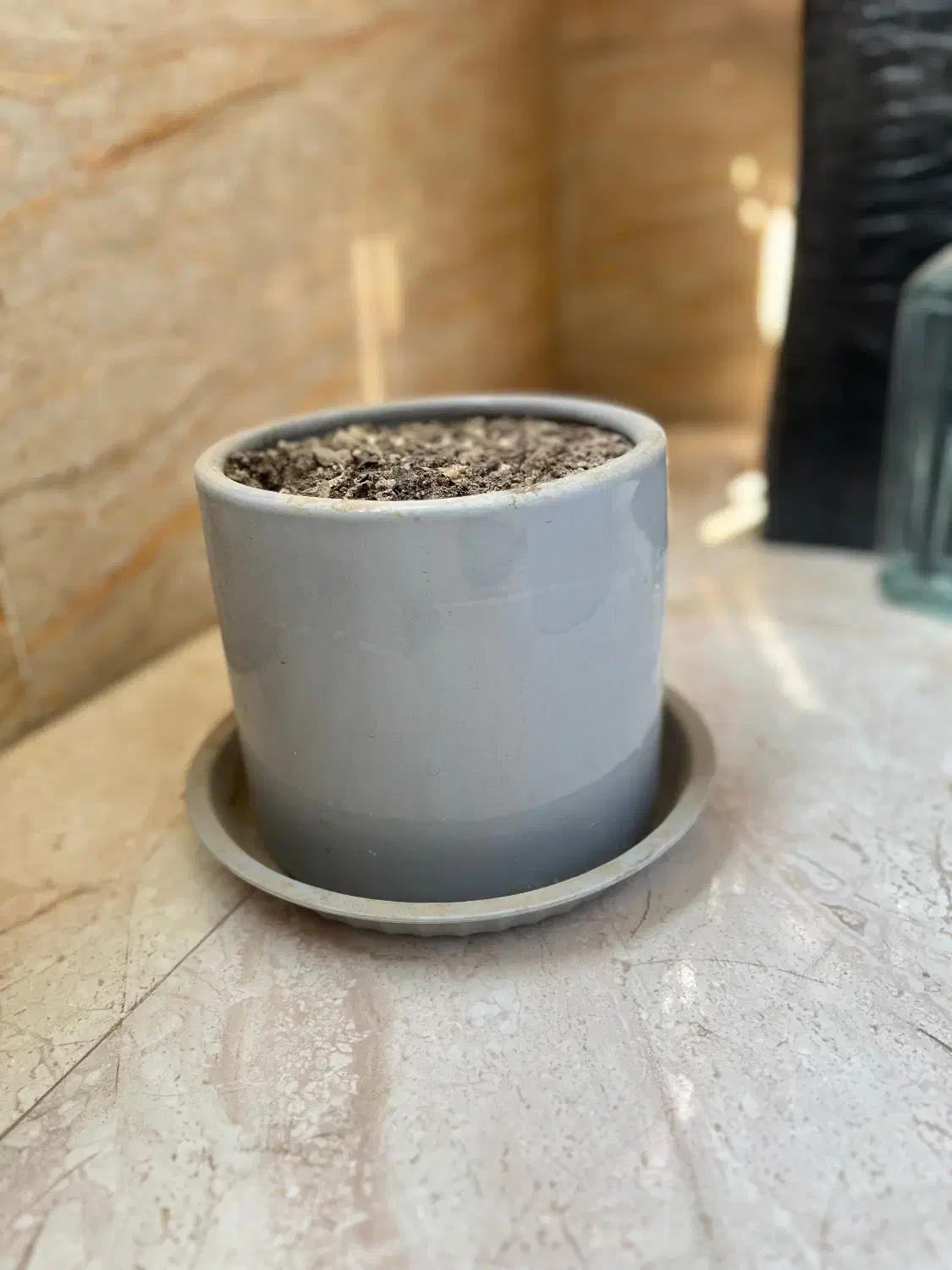 گلدان|گل و گیاه طبیعی|تهران, فلاح|دیوار