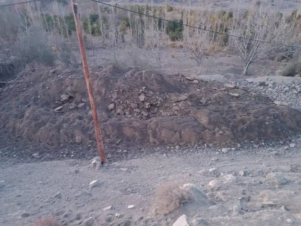 جبالبارز برا اطلاعات بیشتر با شماره|خدمات باغبانی و درختکاری|کرمان, |دیوار