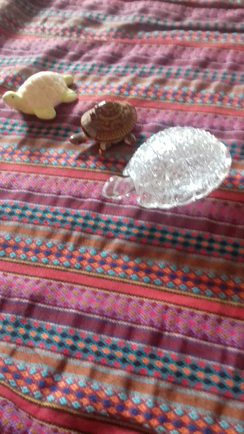 مجسمه لاک پشت تزیینی|مجسمه، تندیس، ماکت|گرگان, |دیوار