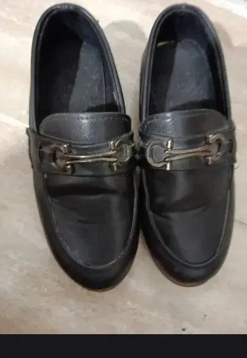 کت و شلوار|کیف، کفش، کمربند|میاندوآب, |دیوار