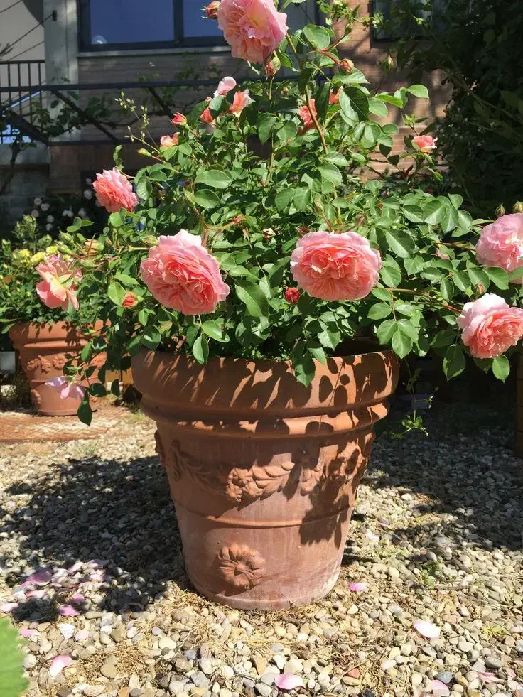 کارگر،نگهبان باغ|استخدام سرایداری و نظافت|میناب, |دیوار