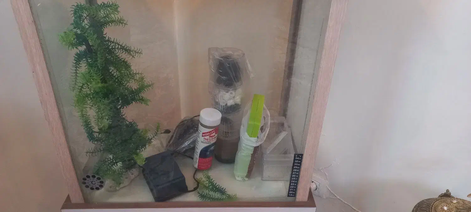 اکواریوم‌ شرکتی تروتمیز در حدنو|ماهی|تهران, افسریه شمالی|دیوار