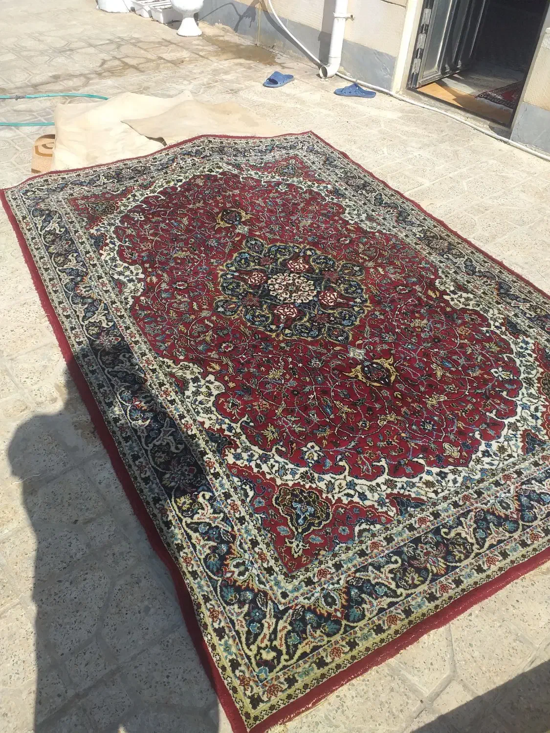 فرش ۶ متری و موکت سایز بزرگ|فرش|ایلام, |دیوار