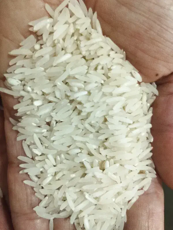 برج فجر سوزنی 120روزع اعلا شمال|خوردنی و آشامیدنی|بندرعباس, |دیوار