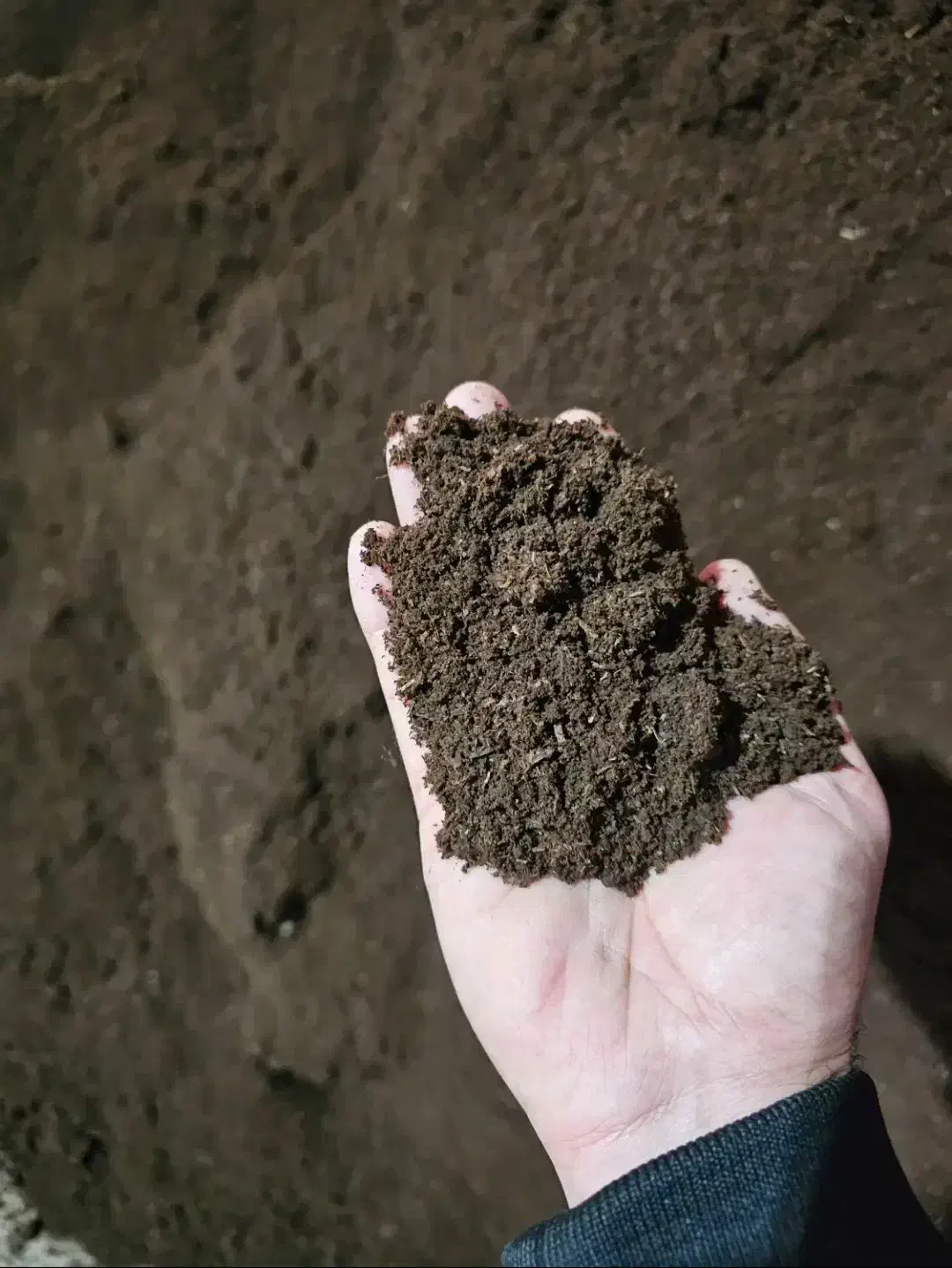 کود حیوانی ورمی کمپوست تحویل بار عمده رایگان|خدمات باغبانی و درختکاری|رشت, دباغیان|دیوار