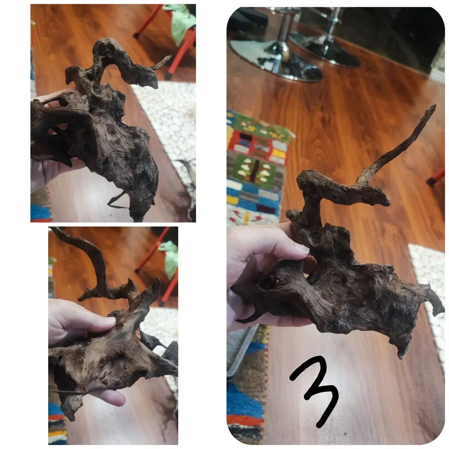 ریشه‌های آبنوس ظریف دو سال خیس خورده آماده|ماهی|قزوین, |دیوار