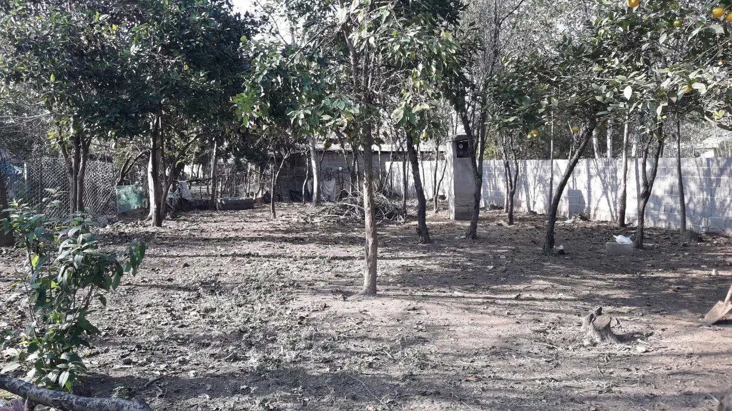 فروش زمین ۳۰۰متری مسکونی|فروش زمین و ملک کلنگی|ماکلوان, |دیوار