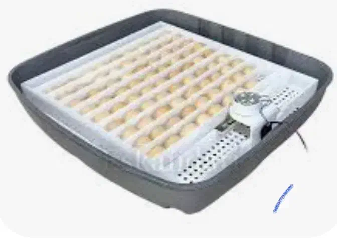 فروش دستگاه  جوجه کشی آژاکس ۷۲تایی|ماشین‌آلات صنعتی|گلی داغ, |دیوار