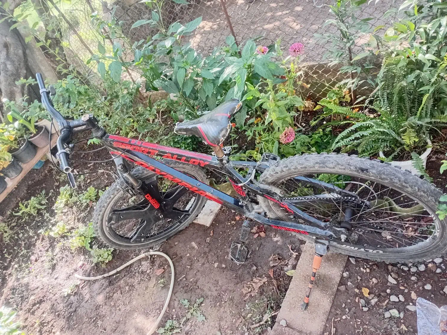 فروش دوچرخه|دوچرخه، اسکیت، اسکوتر|آستارا, |دیوار