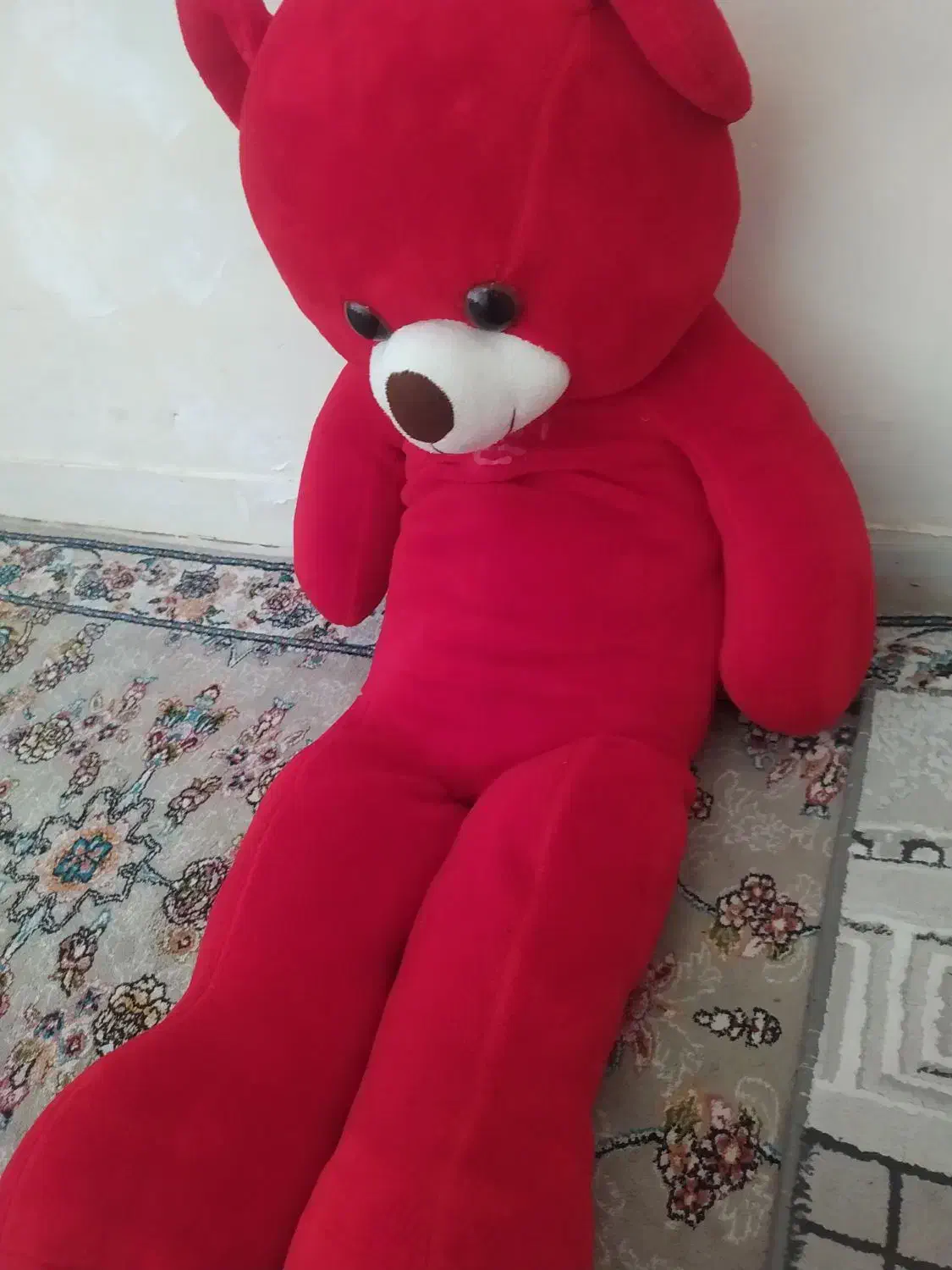 خرس شاسخین|اسباب‌بازی بچه|شیروان (خراسان), |دیوار