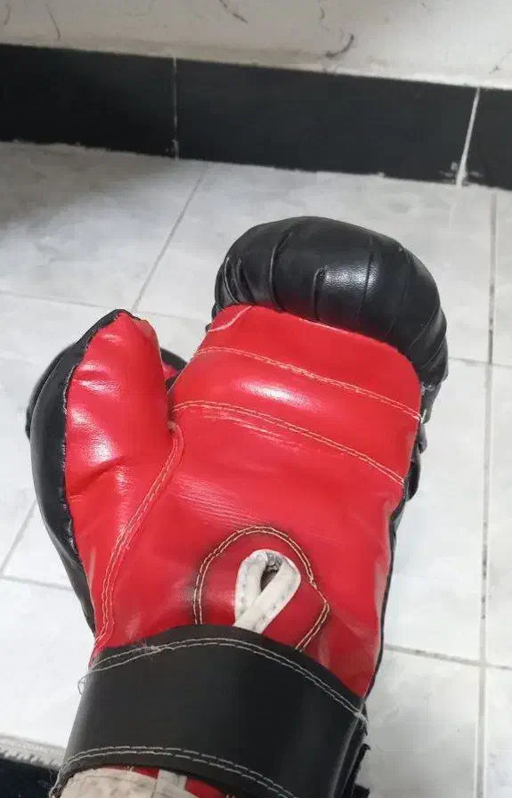 دستکش بوکس|تجهیزات ورزشی|بانه, |دیوار