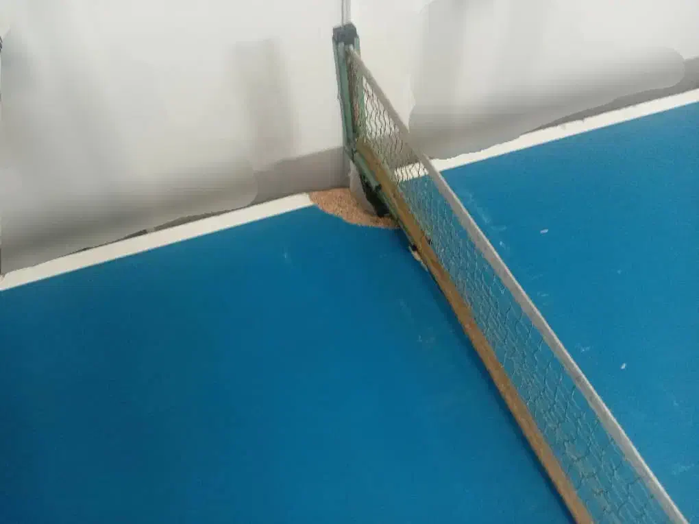 میز پینگ پنگ ۸ چرخ برند رامند|ورزشهای توپی|تهران, بیسیم|دیوار