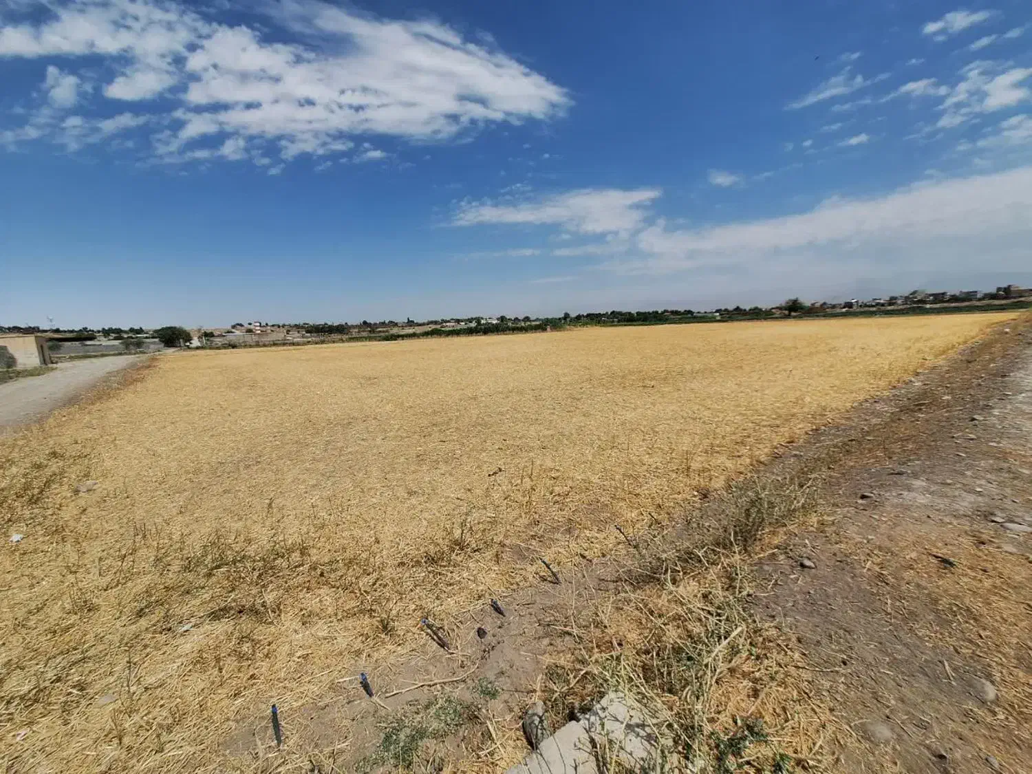 زمین کشاورزی یک هکتار،سنددار|فروش دفتر صنعتی، کشاورزی، تجاری|محمدشهر, محمدشهر|دیوار