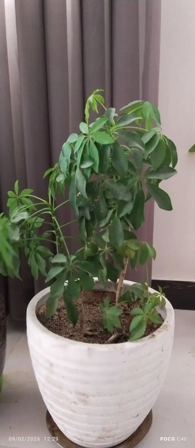 فراغت نیه|کتاب و مجله آموزشی|سنندج, |دیوار