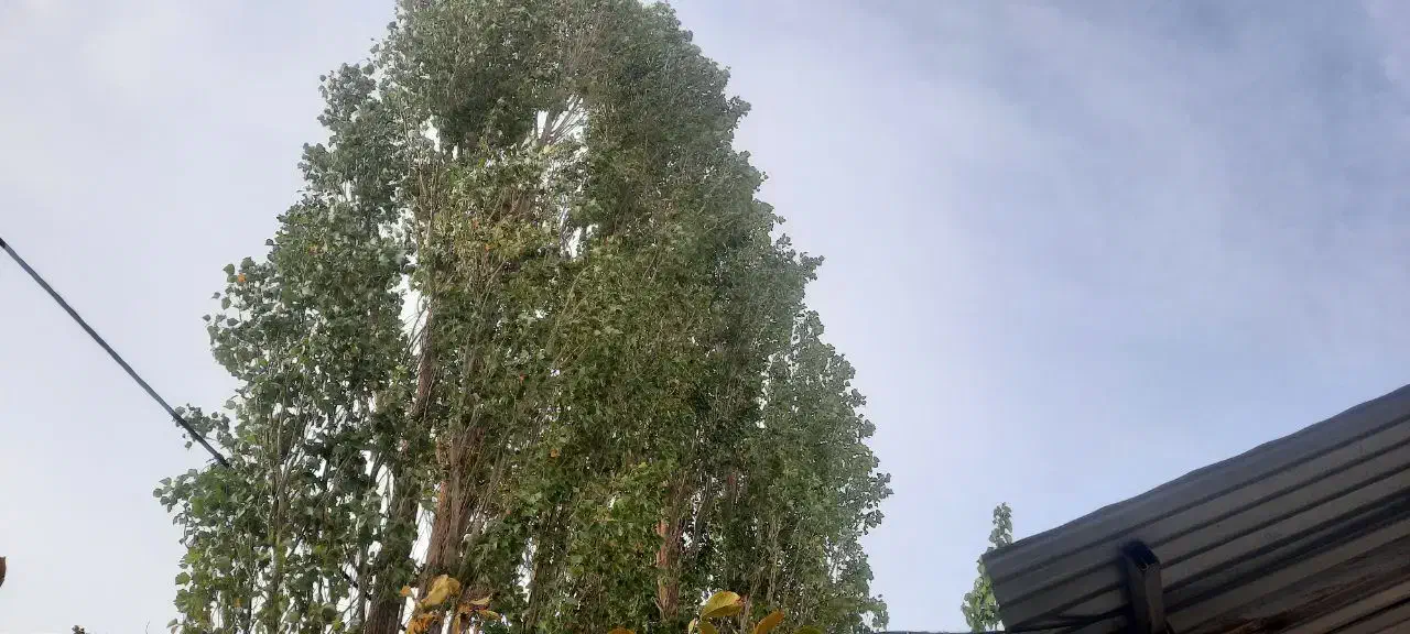 خانه ۶۵ متری دارای پروانه آب برق و گاز|فروش خانه و ویلا|دهبکری, |دیوار