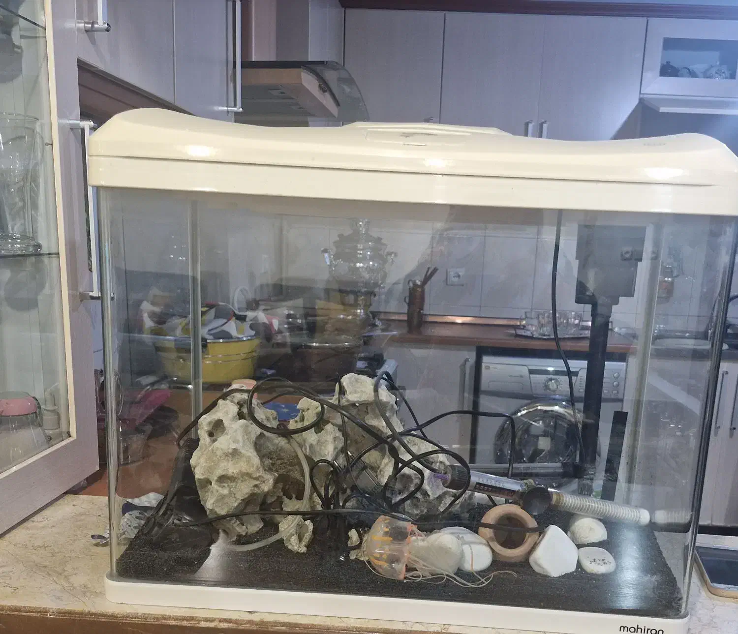 اکواریوم شیشه خم|ماهی|کرج, شهرک امیر المومنین|دیوار