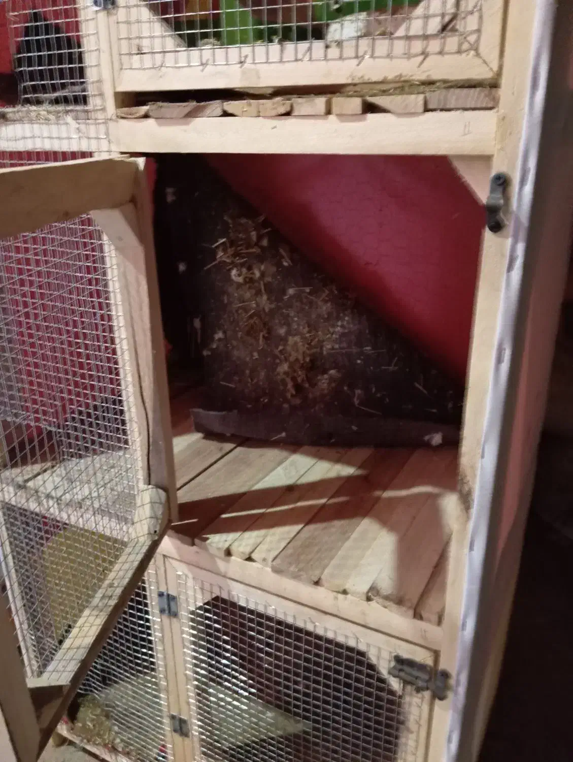 قفس|لوازم جانبی حیوانات|میان جلگه, |دیوار