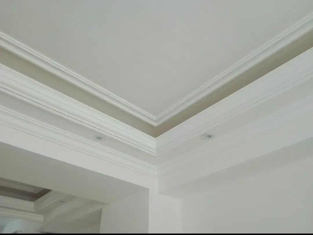 گچ کاری و گچکاری سفید سیاه لک گیری حتی یک متر|خدمات پیشه و مهارت|تبریز, |دیوار