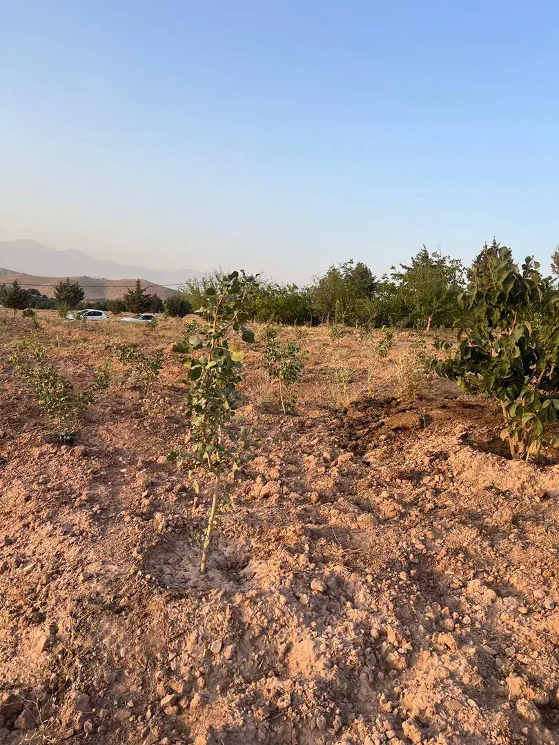 فرصت طلایی سرمایه گذاری دردل طبیعت|فروش زمین و ملک کلنگی|تهران, بوستان سرخه حصار|دیوار