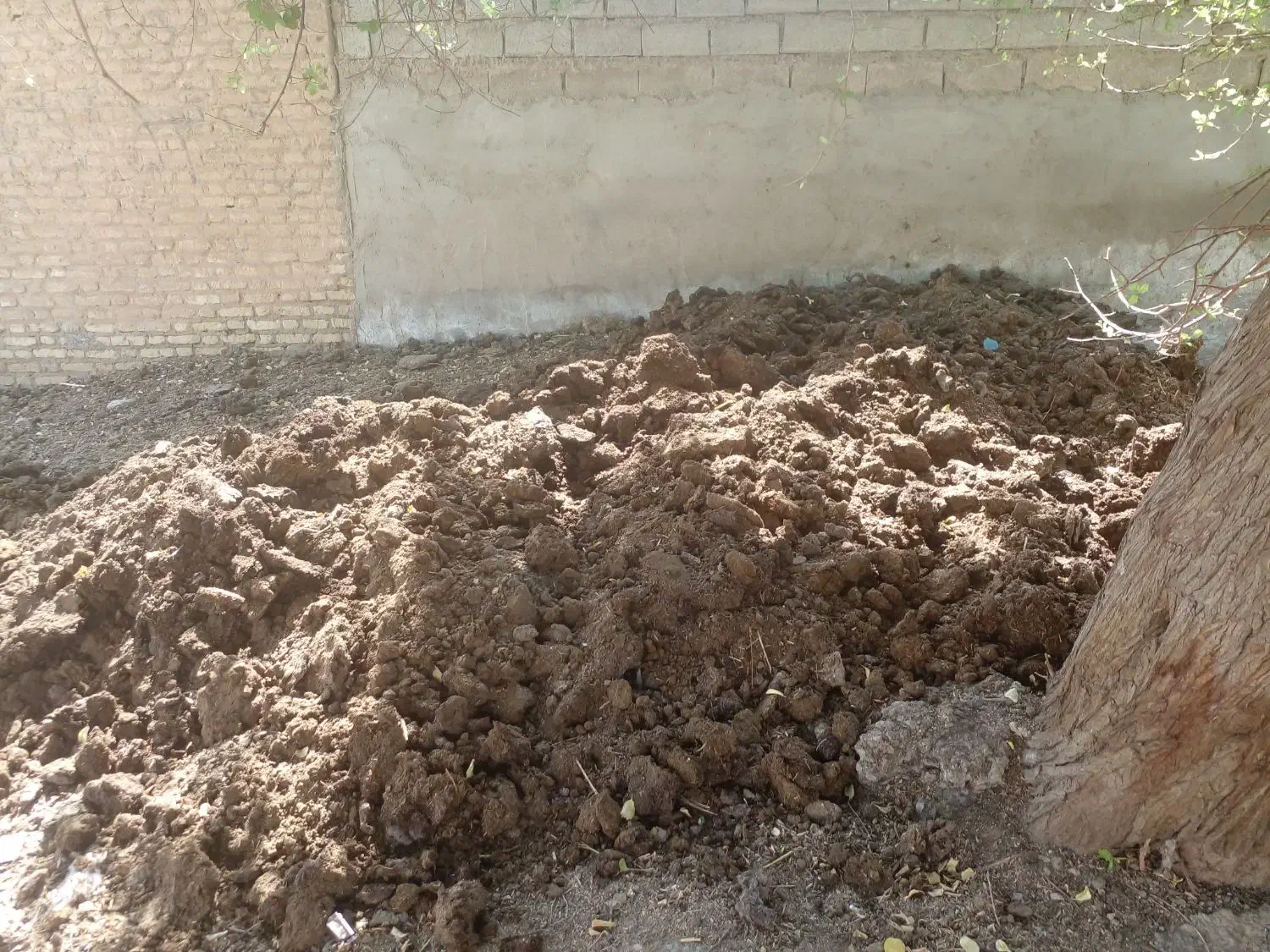 کود.حیوانی|لوازم جانبی حیوانات|سوسنگرد, |دیوار