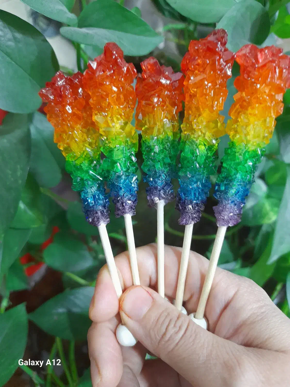 قند ونبات رنگی و گیاهی یلدایی|خوردنی و آشامیدنی|کرج, جهانشهر|دیوار