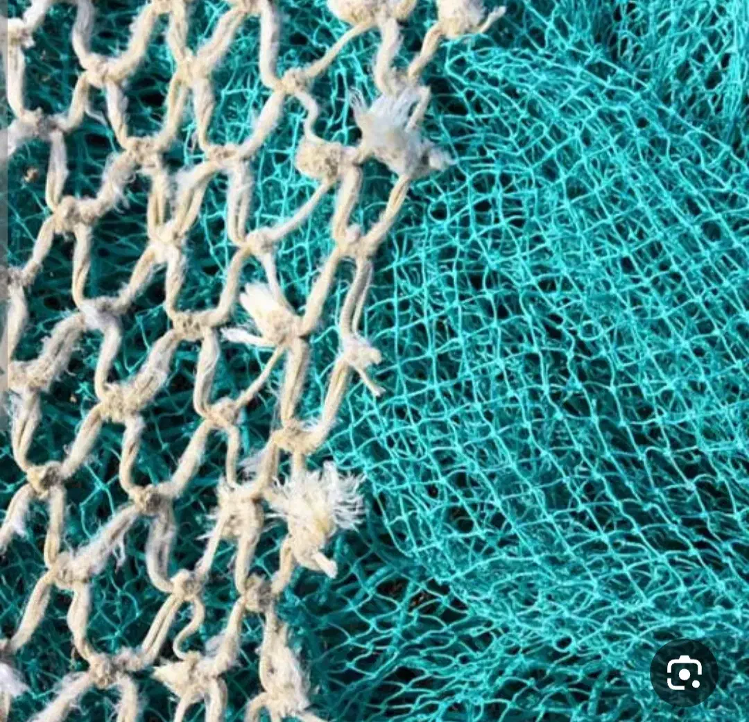 تک تور قایق|ماهیگیری|بوشهر, |دیوار