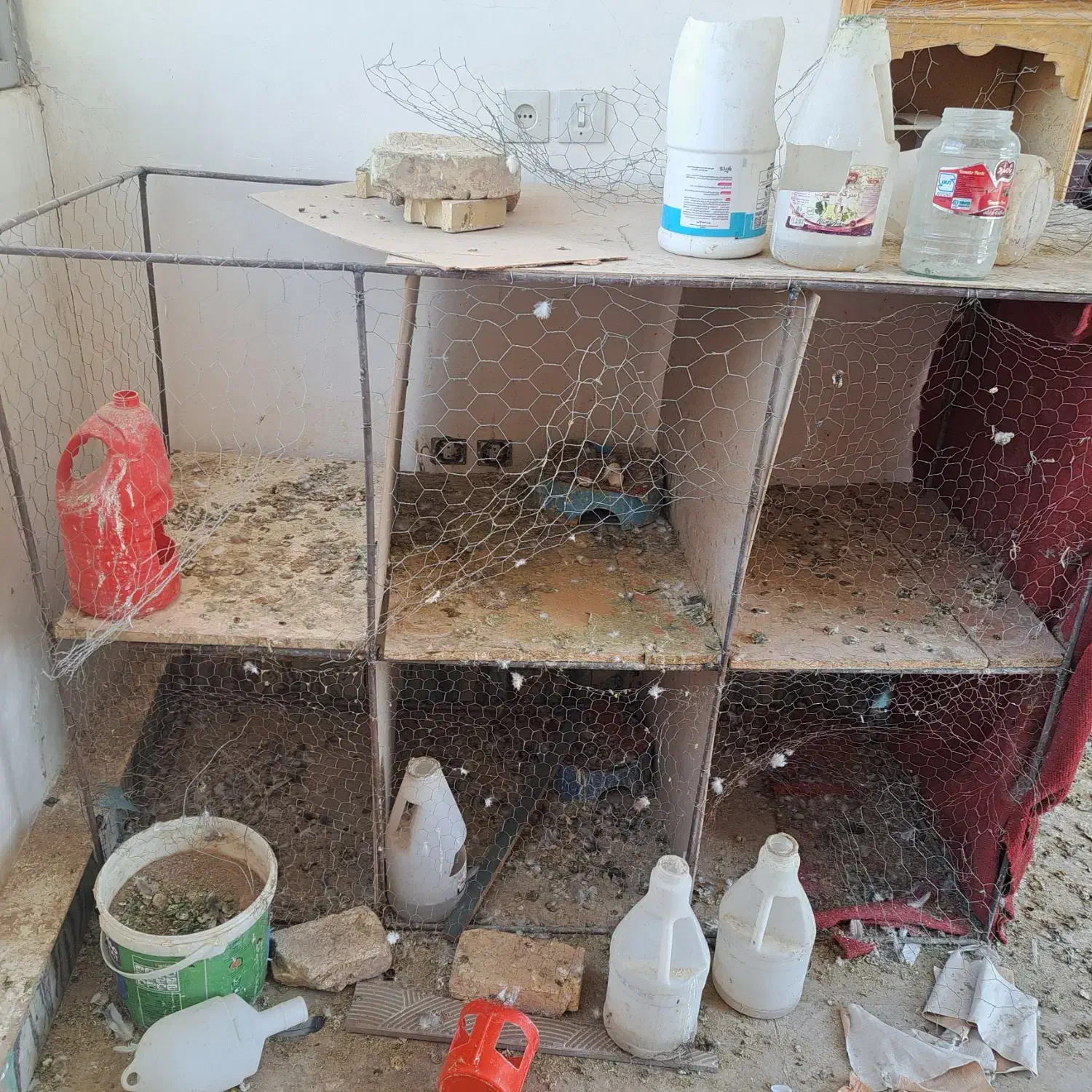 قفس جفت کنی کفتر|لوازم جانبی حیوانات|یزد, |دیوار