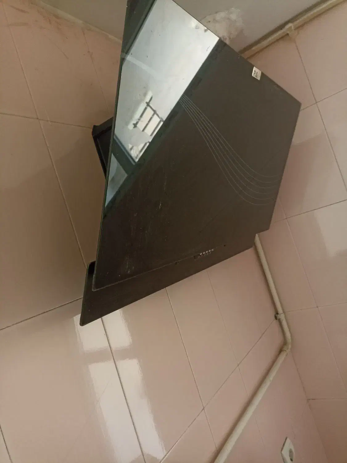 هود|هود|پرند, فاز ۶|دیوار