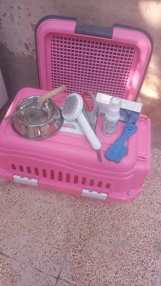 لوازم مصرفی  پت|لوازم جانبی حیوانات|باغستان, |دیوار