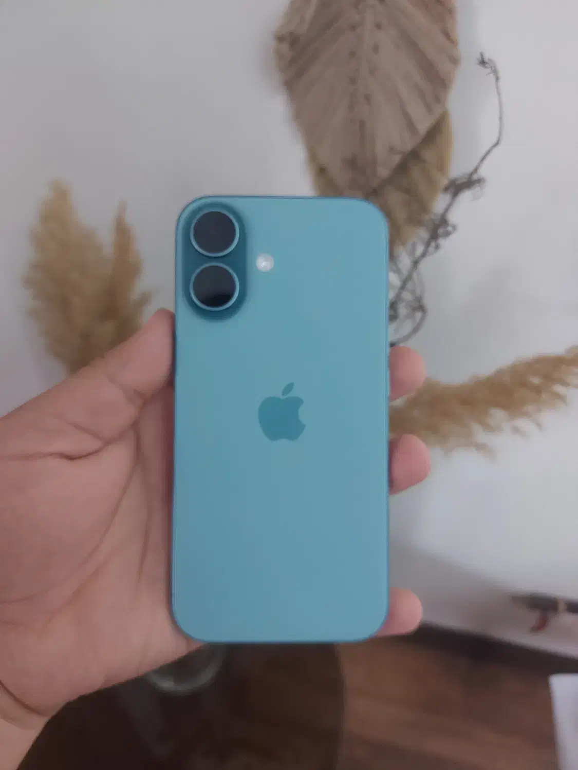 ایفون ۱۶ نرمال ۱۲۸ گیگ استثنایی خوش رنگ|موبایل|رشت, سعدی (تختی)|دیوار