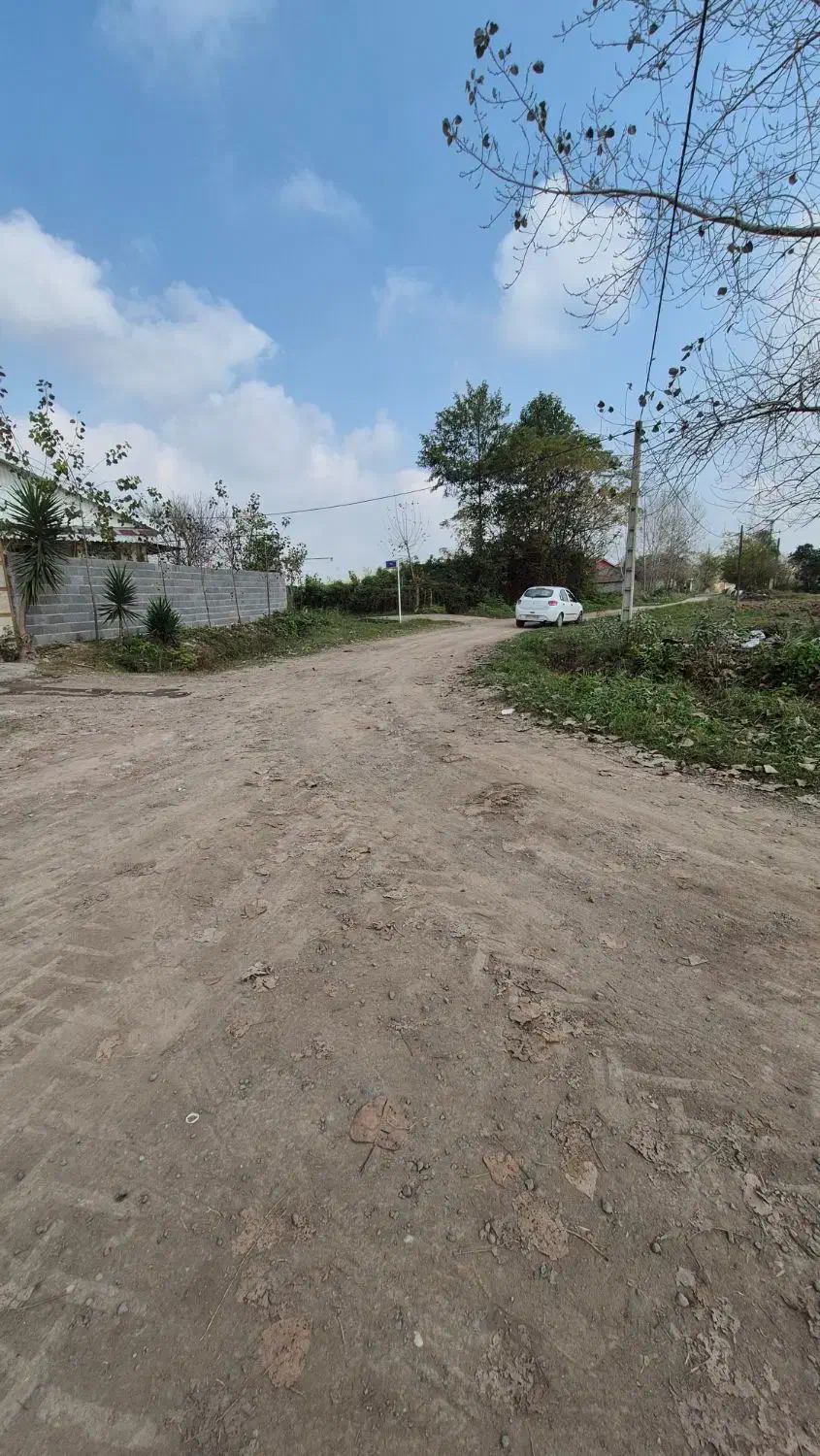 زمین جنگلی با نامه بنیاد مسکن|فروش زمین و ملک کلنگی|رشت, بازار|دیوار