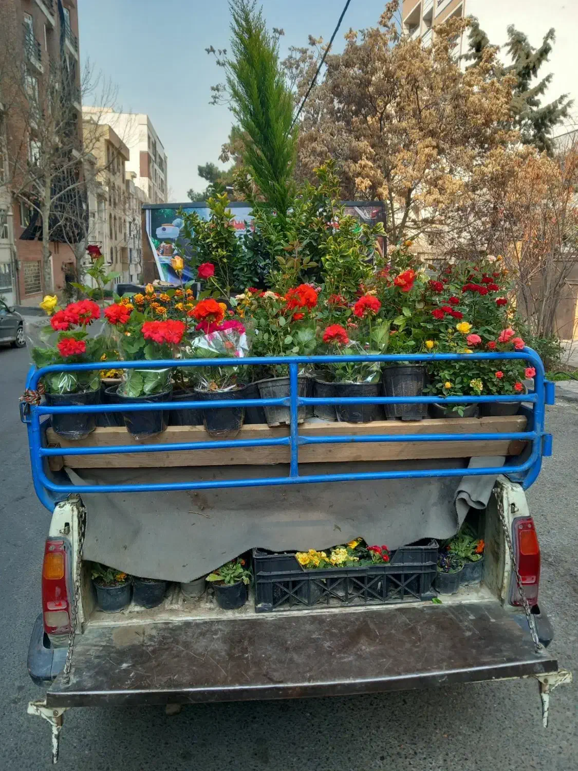 باغبانی|خدمات باغبانی و درختکاری|تهران, تهرانپارس شرقی|دیوار