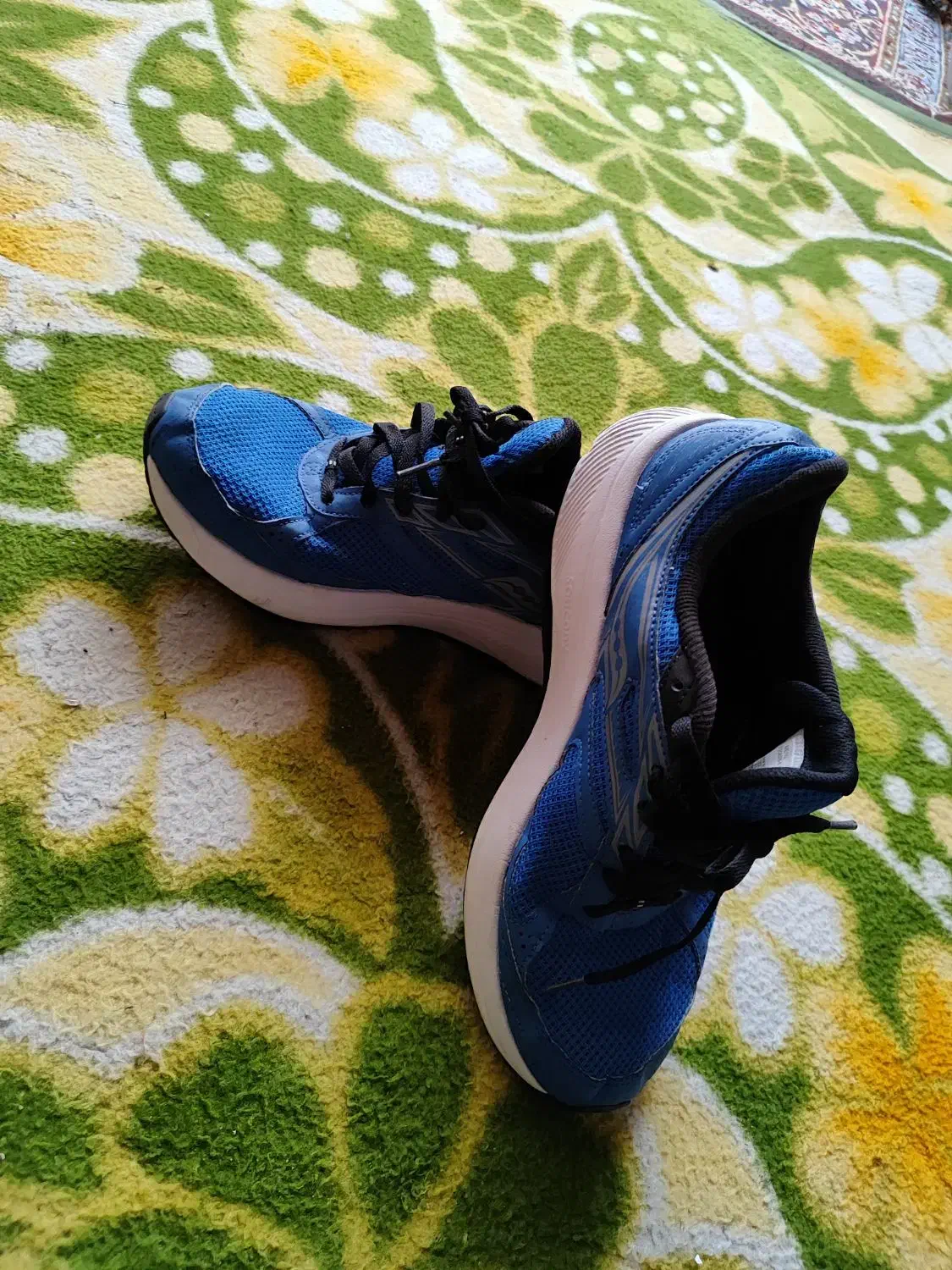 کفش ساکنی اورجینال|کیف، کفش، کمربند|کبودرآهنگ, |دیوار